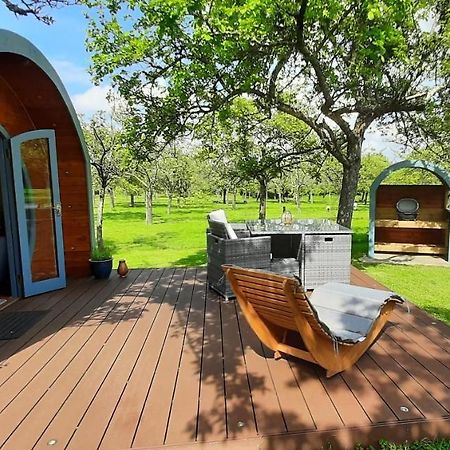 Orchard Farm Luxury Glamping And Campsite Glastonbury Kültér fotó