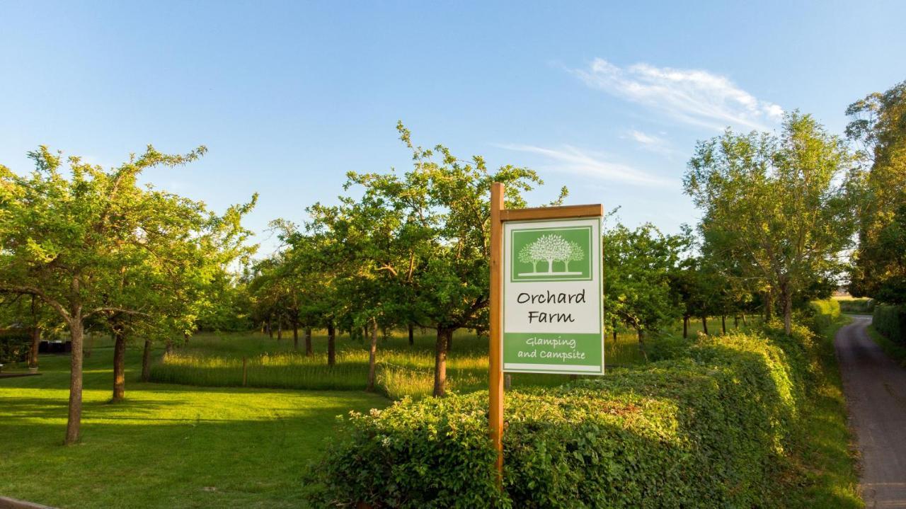 Orchard Farm Luxury Glamping And Campsite Glastonbury Kültér fotó