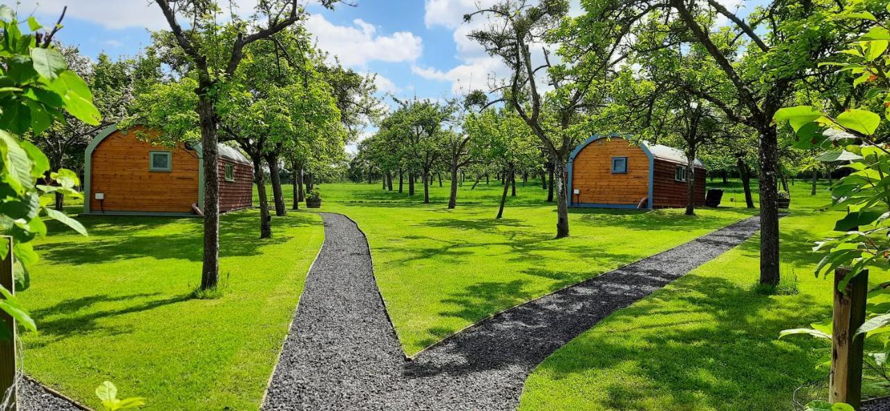 Orchard Farm Luxury Glamping And Campsite Glastonbury Kültér fotó