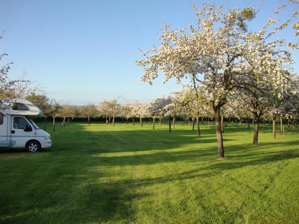 Orchard Farm Luxury Glamping And Campsite Glastonbury Kültér fotó