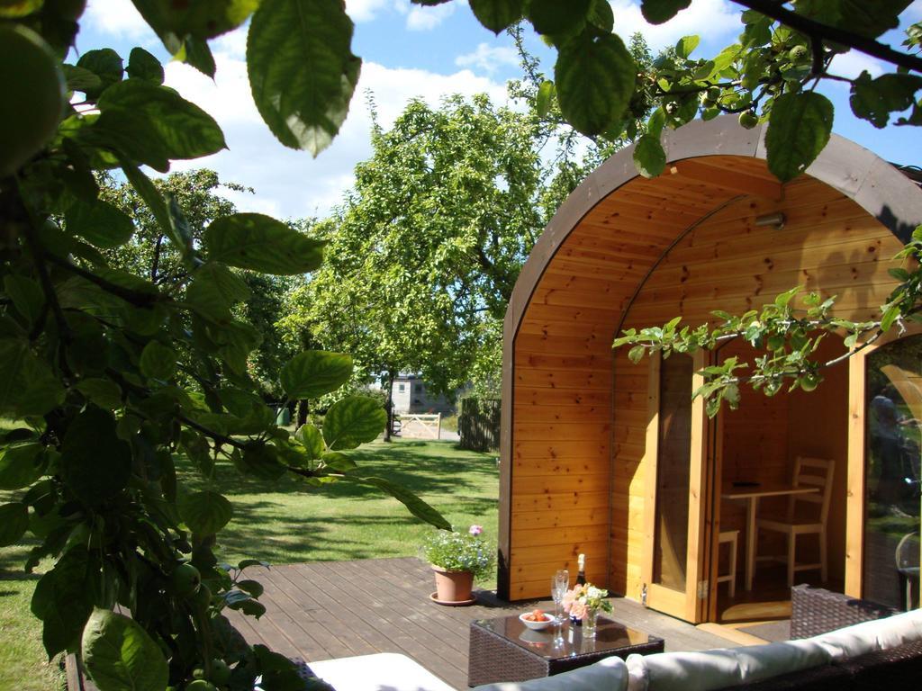Orchard Farm Luxury Glamping And Campsite Glastonbury Kültér fotó