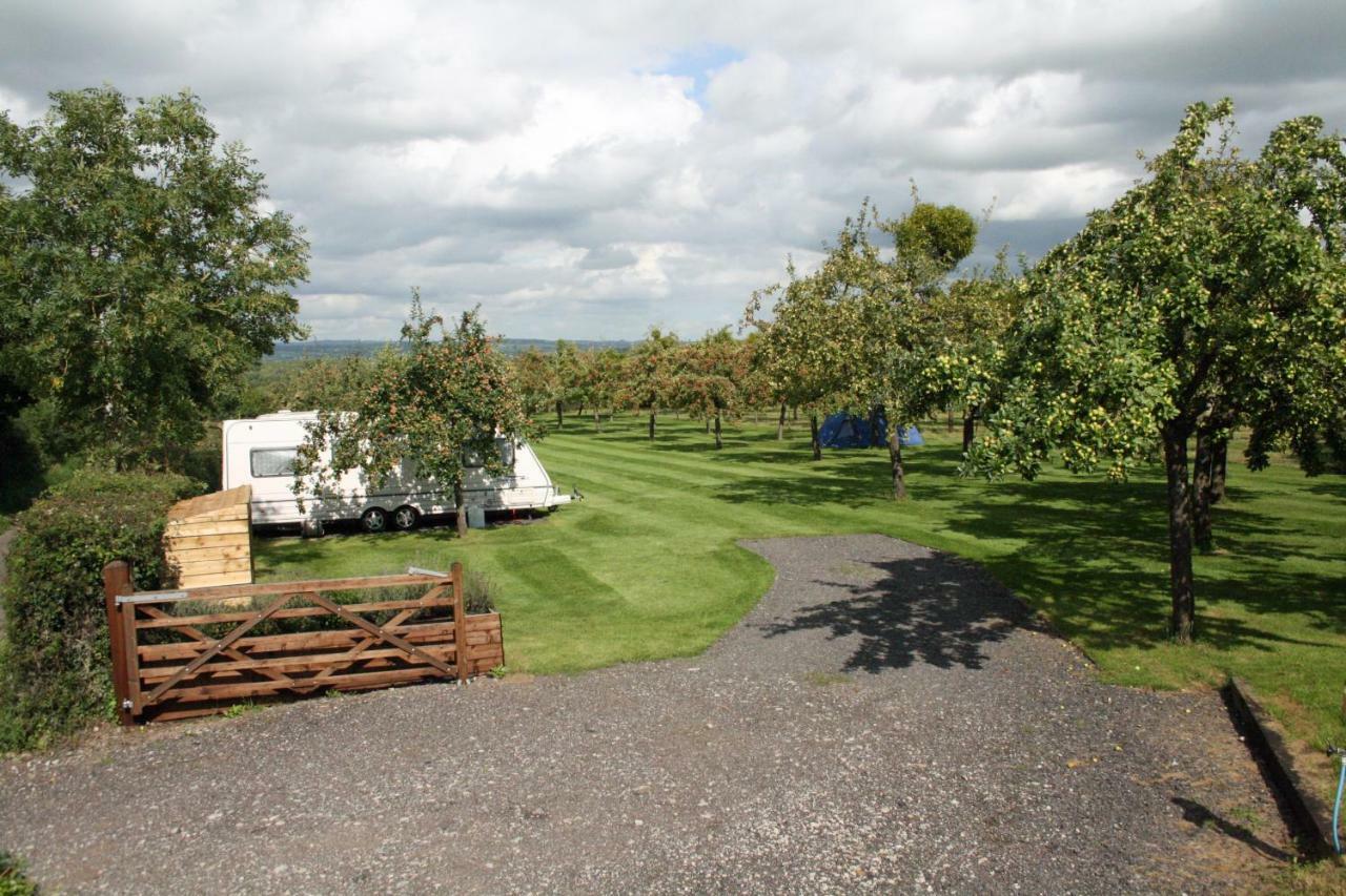 Orchard Farm Luxury Glamping And Campsite Glastonbury Kültér fotó